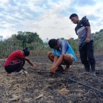 Kenapa Anak Muda Malas Jadi Petani, Padahal Peluang Dunia Pertanian Menjanjikan?