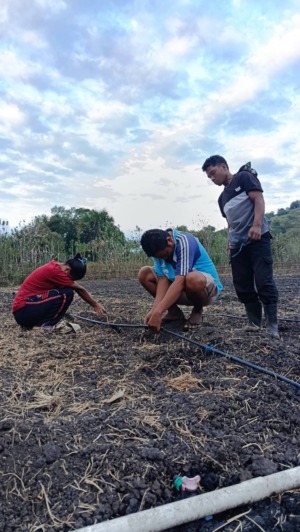 Kenapa Anak Muda Malas Jadi Petani, Padahal Peluang Dunia Pertanian Menjanjikan?