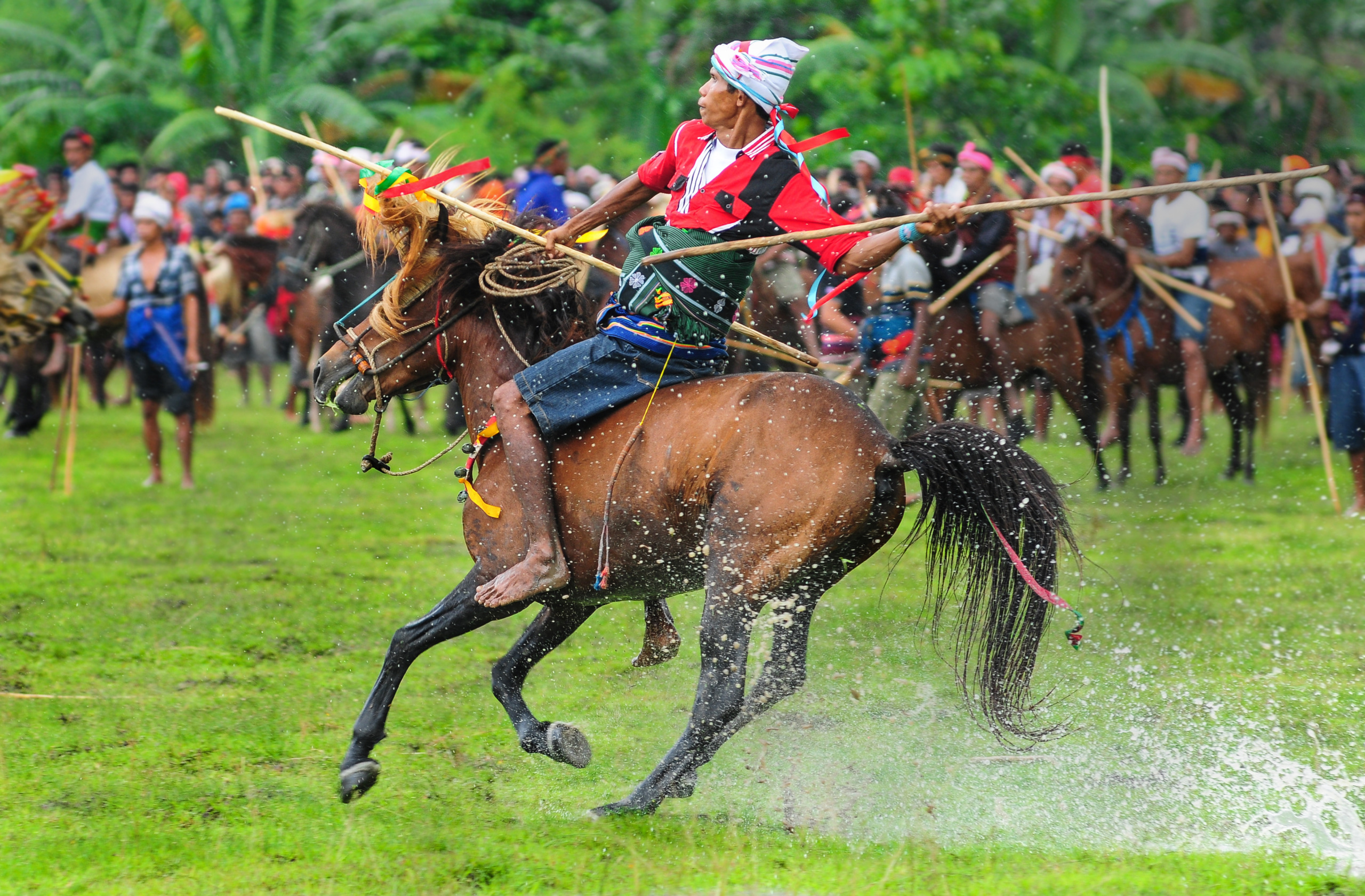 Sudut Pandang: Ketika Tanah Sumba Menunggu Nale: Kisah Pasola dan Janji Leluhur