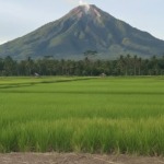 Memori Kolektif Gunung Ebulobo melalui Cerita Lisan Masyarakat di Kabupaten Nagekeo, Flores