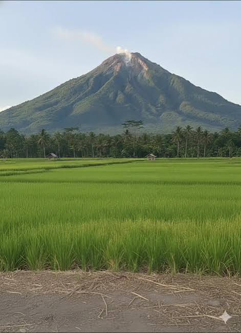 Memori Kolektif Gunung Ebulobo melalui Cerita Lisan Masyarakat di Kabupaten Nagekeo, Flores